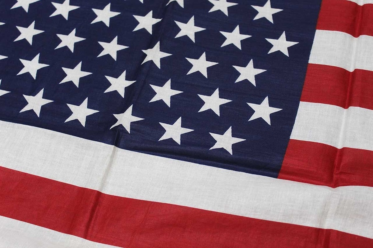 1988’s Vintage US Flag Bear 身長48cm American Vintage 49 Star Flag . FLU6147 | eBay