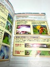 Foto 5 di 8