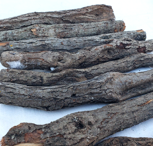Diamond Willow Blanks for Carving Woodworking Projects Lot of Craft Wood - Picture 9 of 13