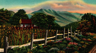 Sharp Top Mountain Great Smoky Mountains National Park VINTAGE Postcard
