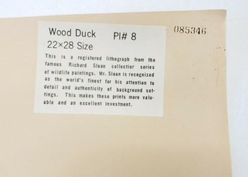 Richard Sloan Art Wood Duck Signed Print 22x28" Plate 8 w/COA & Folder 085346 - Picture 9 of 10