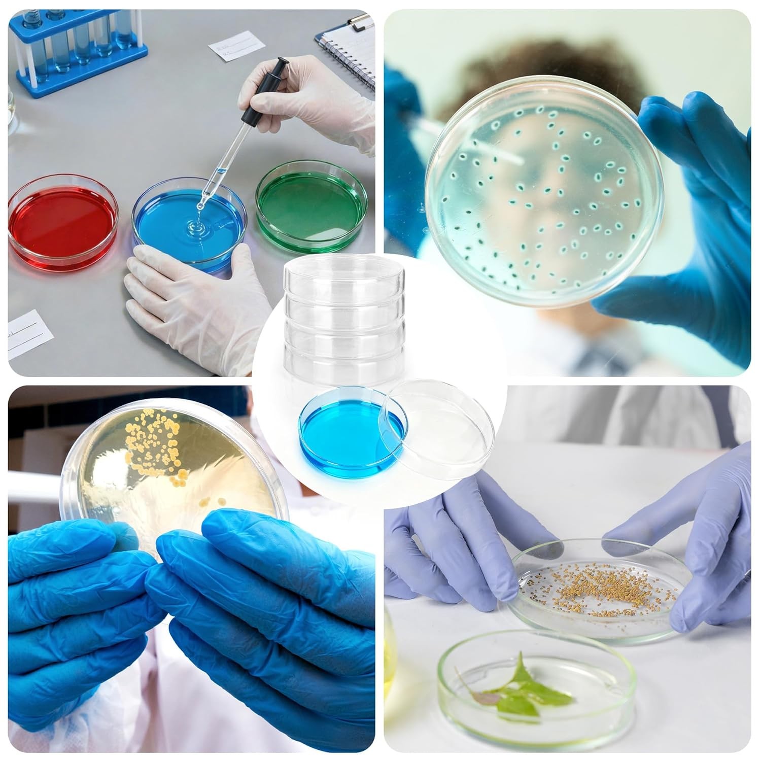 10Pcs 60mm Glass Petri Dishes with Lids Autoclavable Lab Petri Plates Reusable