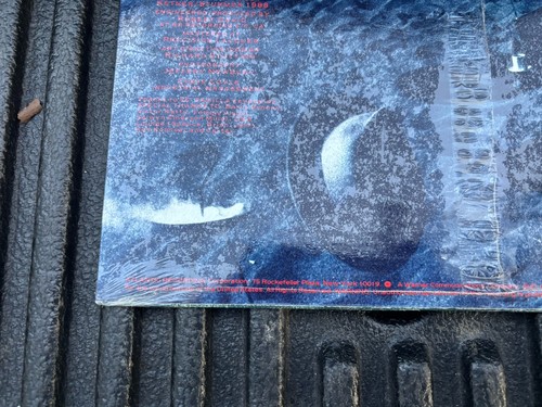 💽 Beatnik Beatch - "Beatnik Beatch" - LP Album - Picture 11 of 12