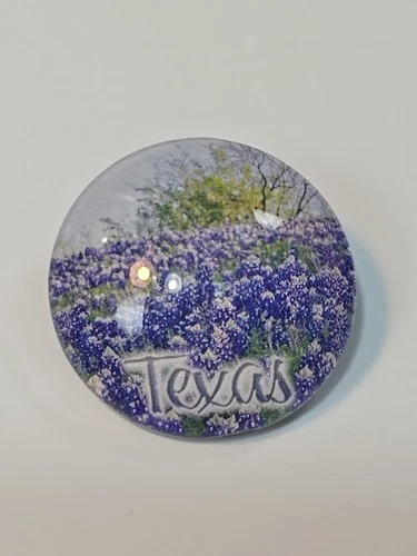 Texas Travel Souvenir Fridge Magnet Round Domed Acrylic Bluebonnets