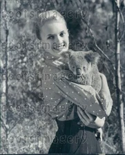 1962 Wire Photo Pretty Woman Holds Cute Koala Bear