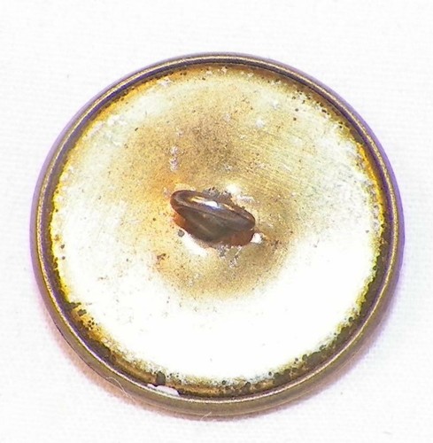 Tan Celluloid Button Incised Scrolls Brass Shank Vintage Historical Clothes #12 - Picture 3 of 3