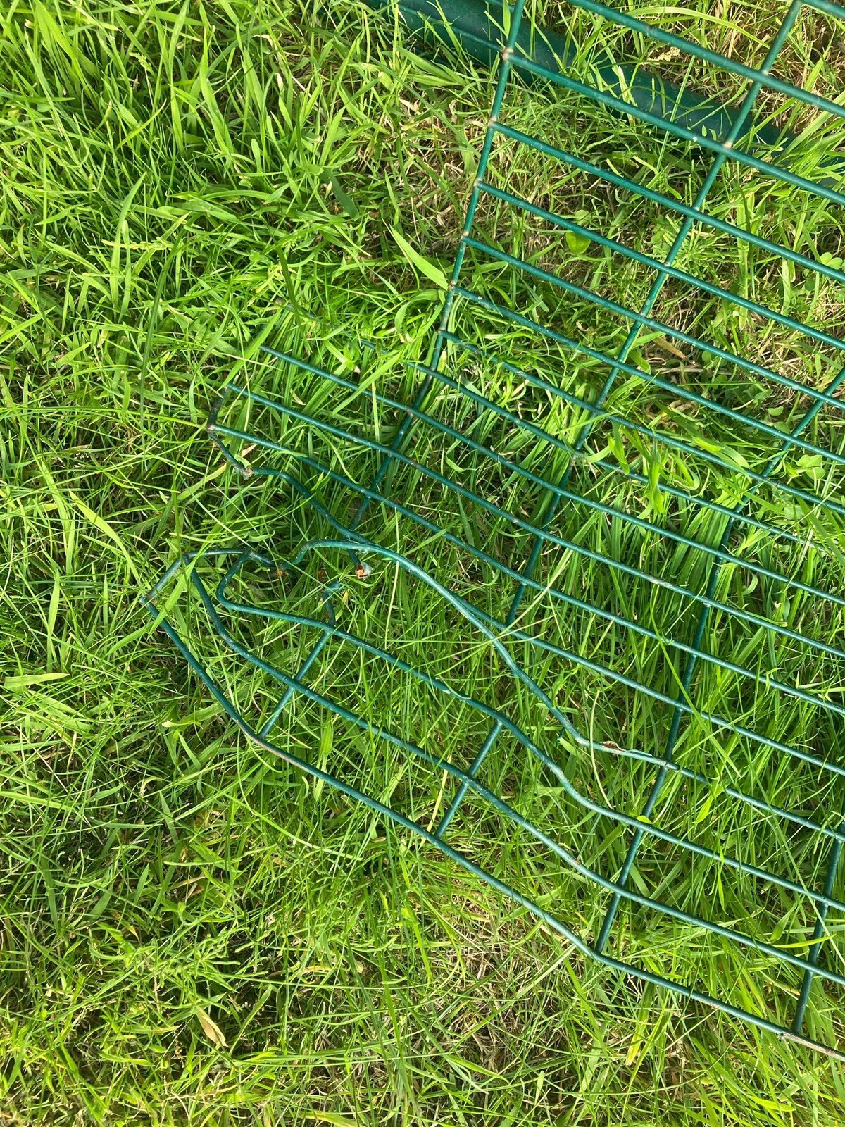 omlet chicken coop used eBay