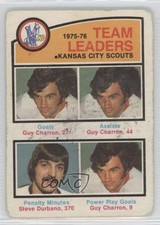 1976-77 O-Pee-Chee Team Leaders Guy Charron Steve Durbano #384 0a1