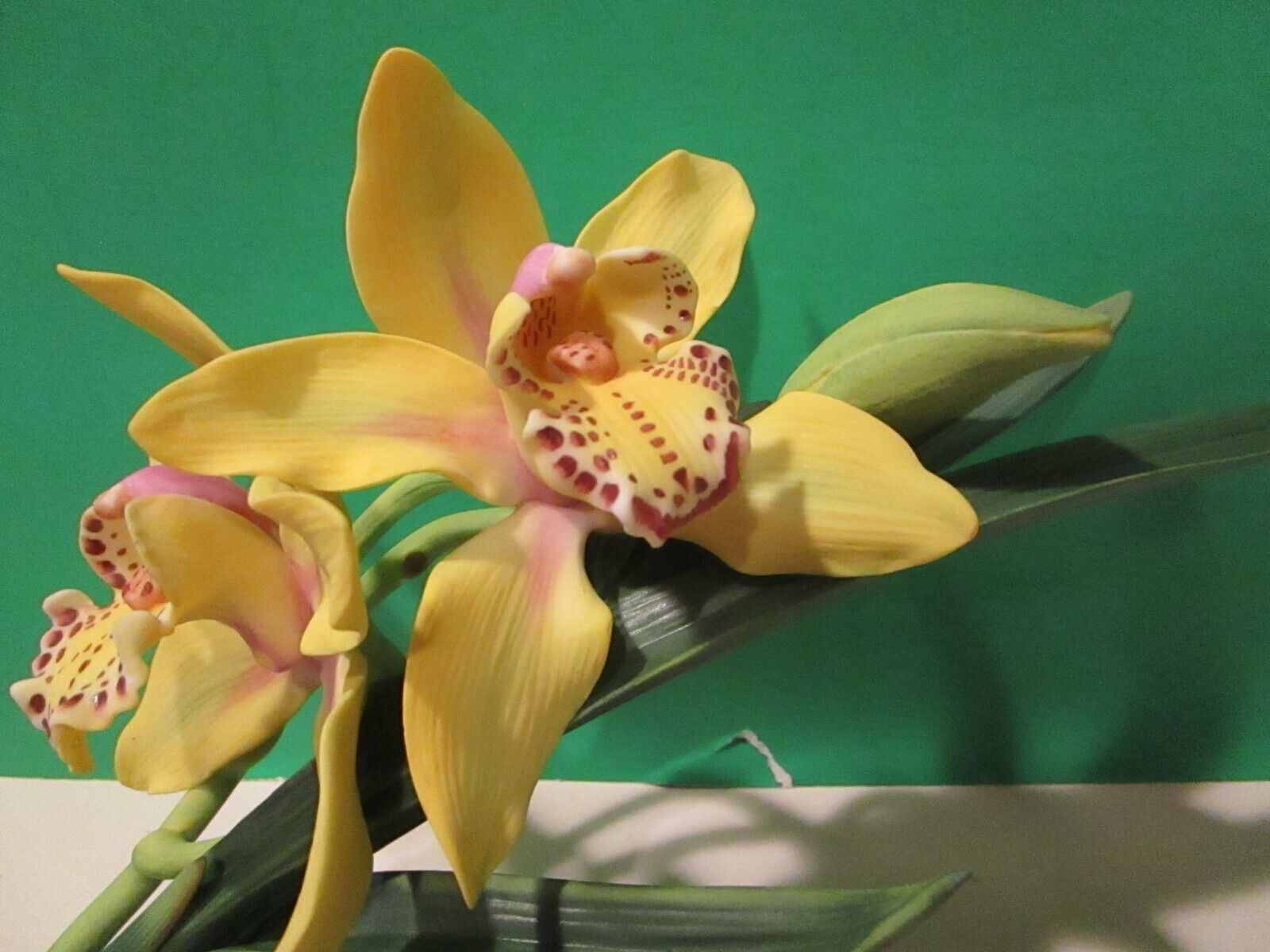 Foto 6 di 9