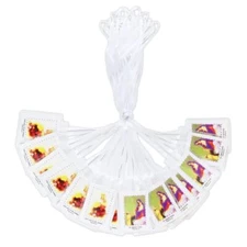 Our Lady of Mount Carmel and Saint Simon White Scapulars Religious Catholic G...