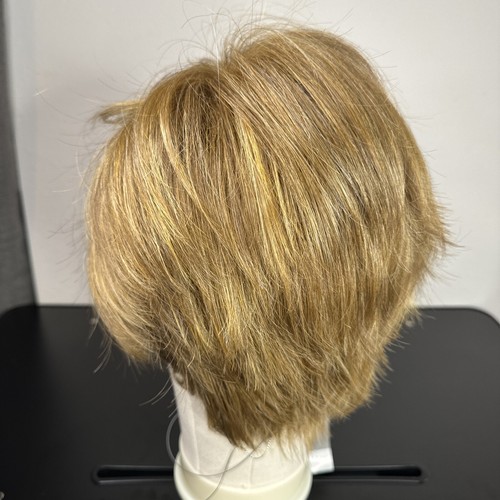 Go To Style Raquel Welch Wigs Honey Toast Lace Front Monopart Average Cap - Picture 5 of 9