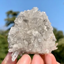 57G Clear Natural Beautiful White Chrysanthemum QUARTZ Crystal Cluster Specimen