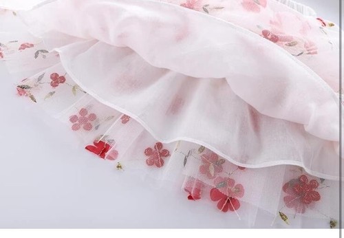 Embroidery 3D Flowers Tulle Skirt for 1- 6 Years Girls - Picture 5 of 6