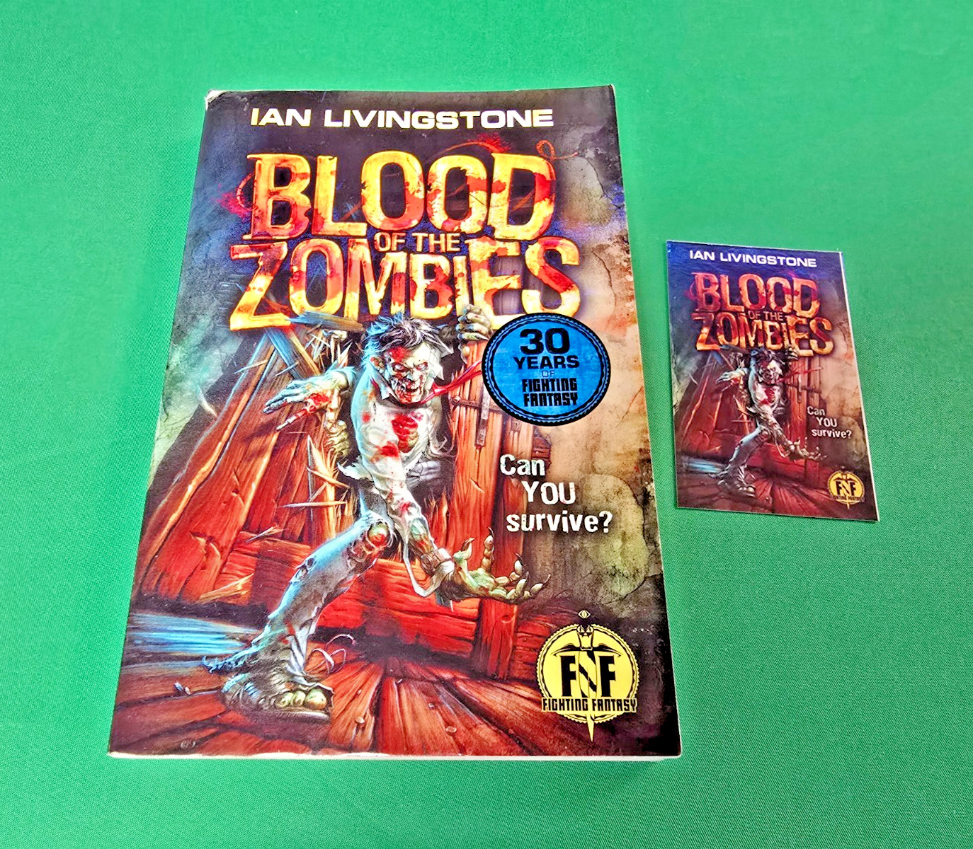 Blood of the Zombies ***1st/1st EDITION!!*** Icon Wizard Fighting Fantasy #3