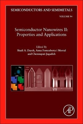 Shadi A. Dayeh Semiconductor Nanowires II: Properties and Ap (Gebundene Ausgabe)