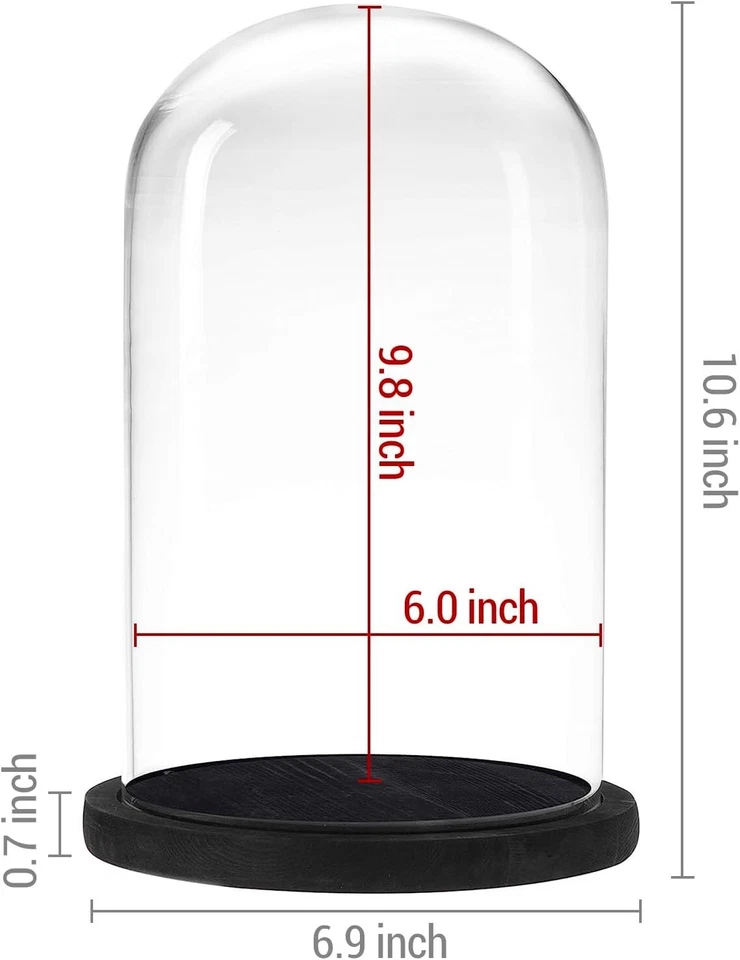 6 x 10 Inches Clear Glass Cloche Bell Jar Display Case w/ Rustic Black Wood Base - Image 4 of 4