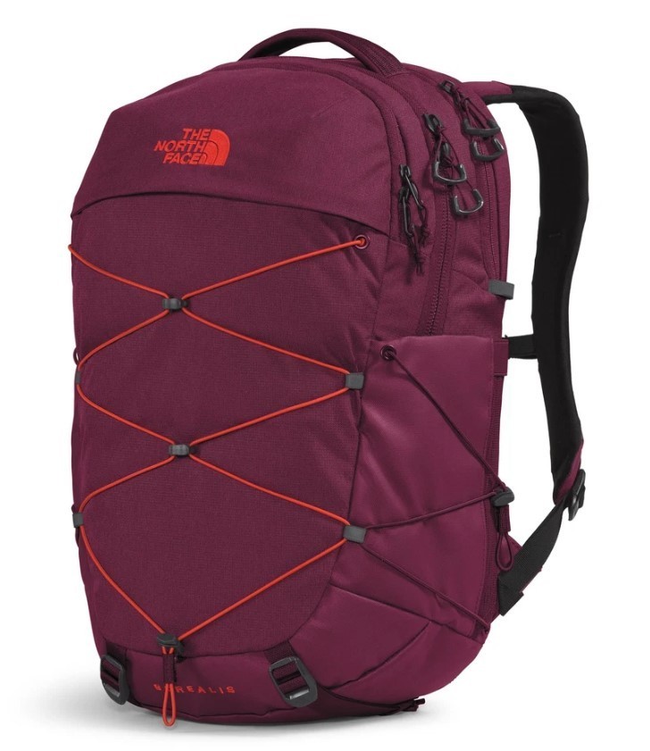 The North Face Women's Borealis Backpack  Boysenberry Light Heather Fiery Red image 2