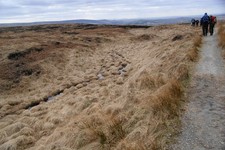Photo A2 An incipient clough Bleak Hey Nook At the moment it is just a s c2010