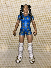 WWE Mattel Mattel Basic Main Event 159 Wendy Choo Chase NXT Legend Accessory Lot