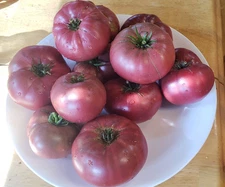 Rosella Purple Dwarf Tomato (15 seeds) - great flavor on dwarf plant!