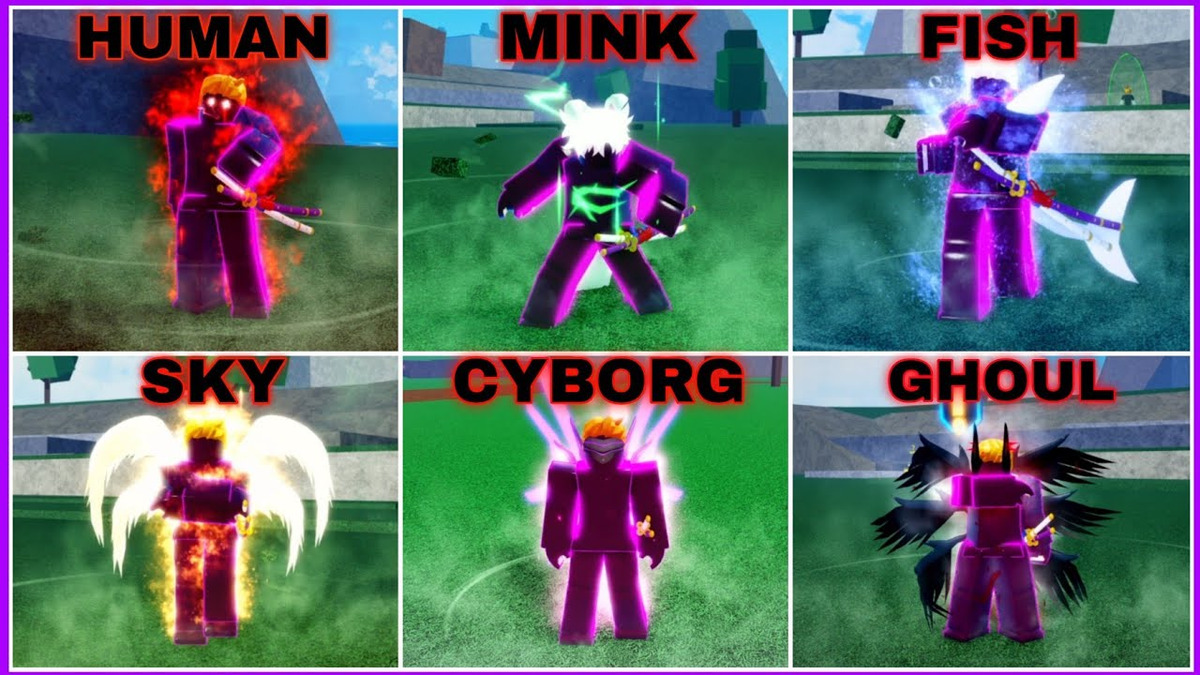 What does cyborg race do in blox fruit?