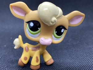 lps cow