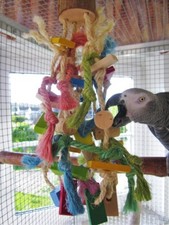 Papageienspielzeug Birdy Party Fun Medium, Bu...