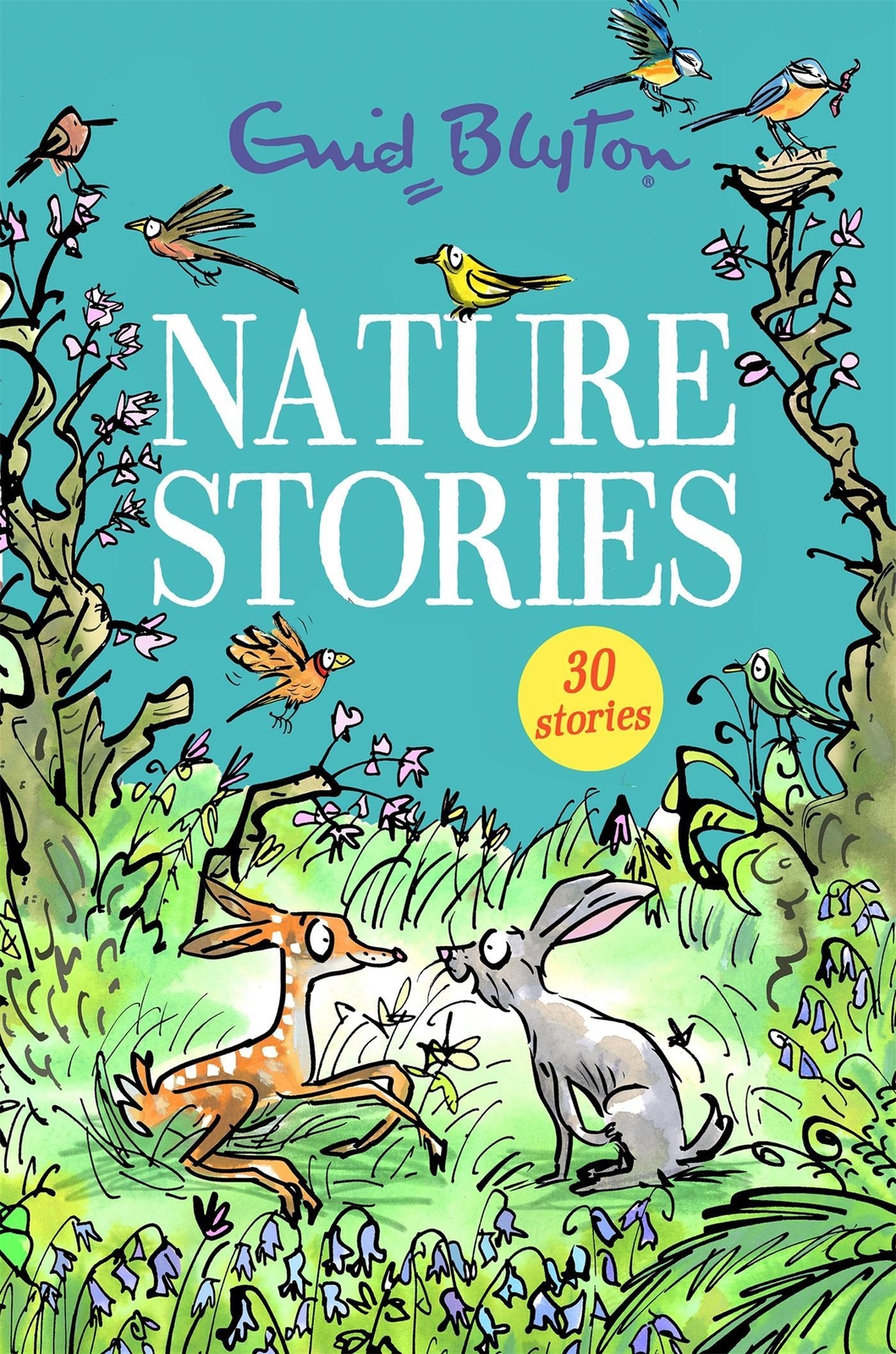 Thumbnail - Nature Stories Enid Blyton