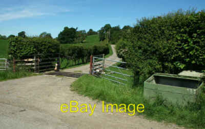 Foto 6x4 offener Kasten Pentre Llifior Rinder Gitter Eingang nach Middle Uchei c2008