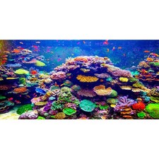 Fish Tank Background 48x24 Vinyl Coral Reef Tropical