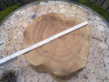 Baumscheibe, Holzscheibe,  Robinie ca.35 x 12cm trocken