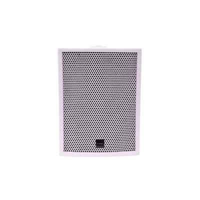 Citronic 6'' 100 W passiver Einbau PA-Lautsprecher (weiß) CS-610W