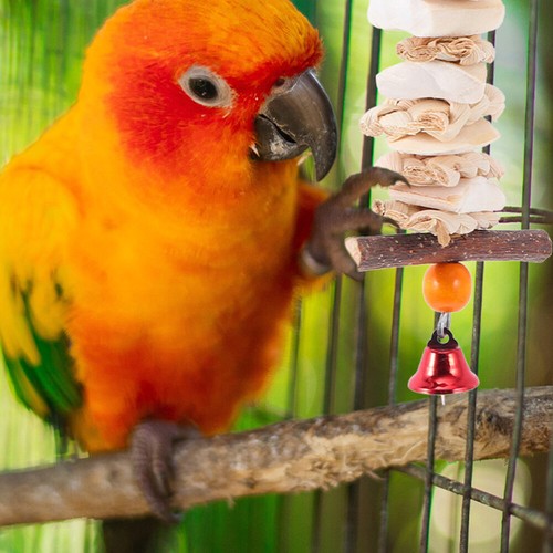 Parakeet soldes Birdcage Parrot Toy Jouet À Mâcher En Os De Seiche Jouets Pour Oiseaux