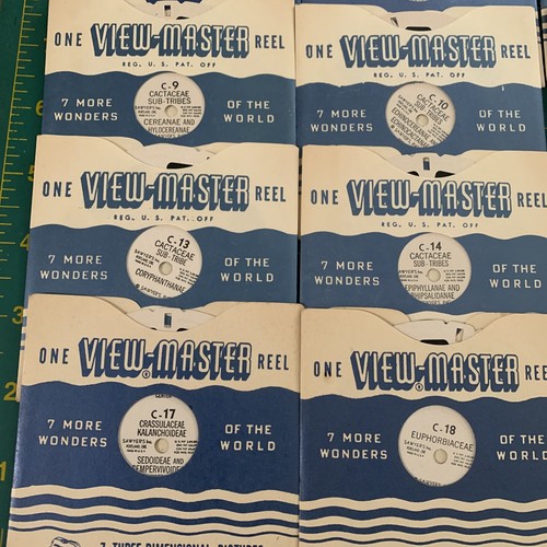Complete Set C-1 to C-20 Succulent Plants 20 View-Master Cactus Reels 2A - Picture 4 of 5