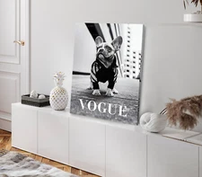 Fashion Dog on Street View Stretched Canvas 40x50cm Print
