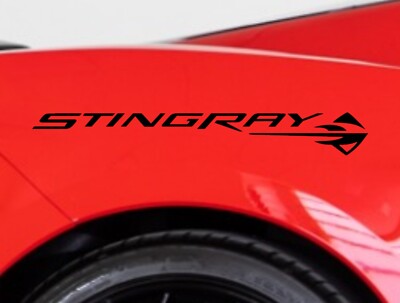 Clausen's World Decals STINGRAY vinyl 23'' Racing Stripes Boats (Fits Vette C8)