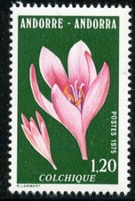 TIMBRE ANDORRE NEUF N° 247 ** FLORE // FLEUR // COLCHICHE