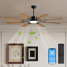 60 inch Black Ceiling Fan Light with APP & Remote 6 Speeds 3CCT Reversible Motor