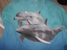 double duvet cover  1 pillow case