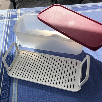 Superstar Tupperware Kompaktus 6L Eidgenosse Frischebox Dose Behälter Himbeere