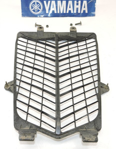 π₯ 2002-2005 OEM YAMAHA RAPTOR 660 R 660R Front Grill Radiator Cover π₯