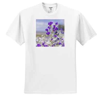 3dRose, Portugal, Evora. Field of white daisies and purple sage., T-Shirt