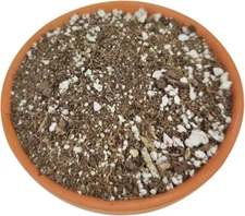Succulent & Cactus Plant Potting Soil Mix Peat Moss & Perlite, 1 quart - 4 gal