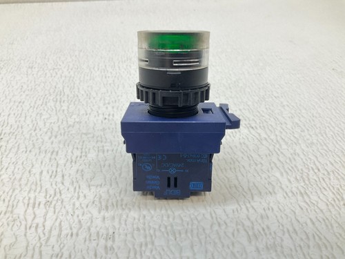 Pulsador momentáneo iluminado verde WEG BIDLF BC10F (TSC) - Imagen 6 de 9