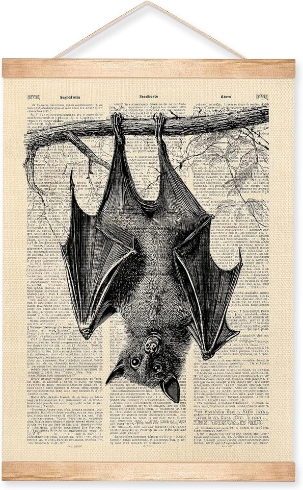 Vintage Bat Wall Art, Gothic Natural History Illustration Poster, Retro Dictiona