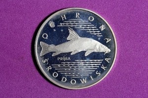 1977 Poland Proba Proof Catfish 100 Zlotys Silver Coin #M26429