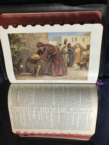 CHRISTIAN WORKER’S BIBLE Illustrated Thumb-Indexed w Encyclopedia 1993 SUPERIOR - Foto 13 di 21