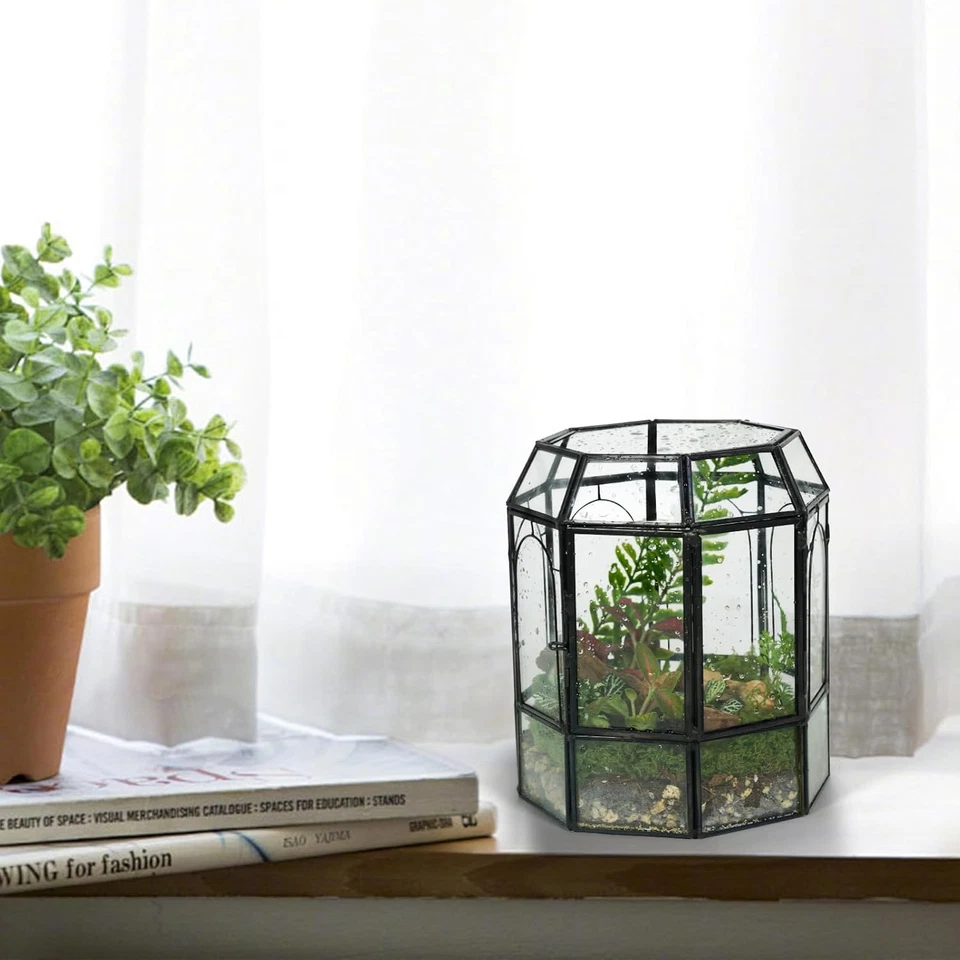 Plantas de terrario de vidrio con tapa, tarro de terrario geométrico negro para aire suculento Foto 3 de 4