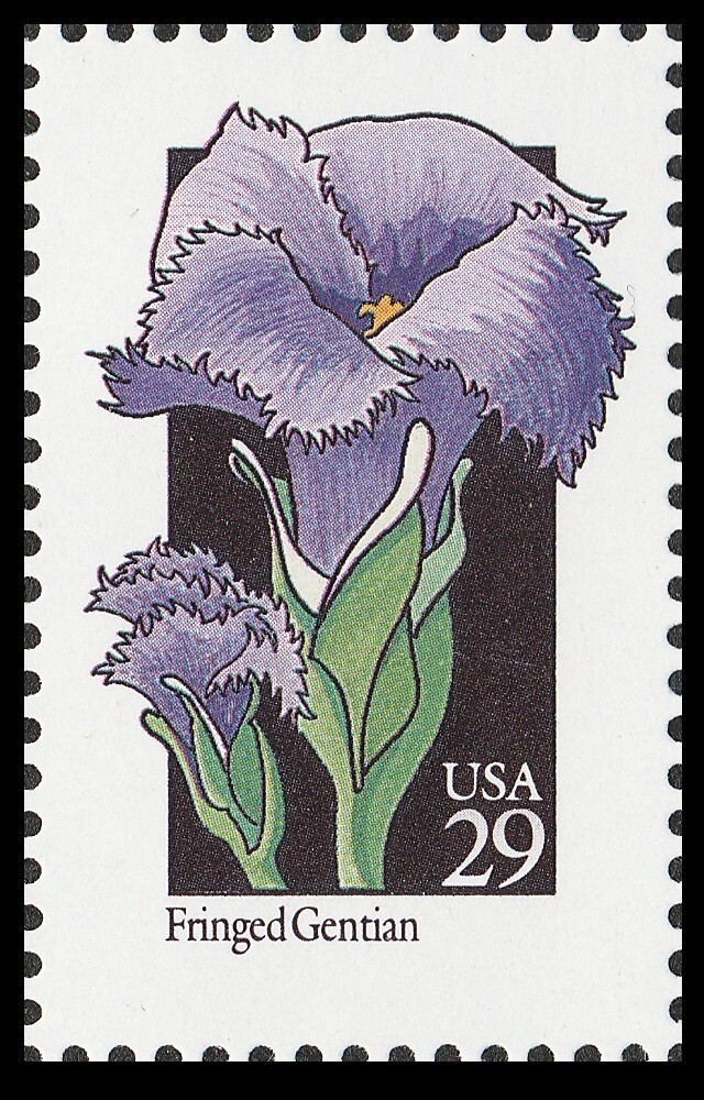 US 2672 Wildflowers Fringed Gentian 29c single MNH 1992 | eBay