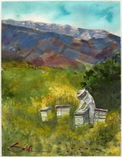 Alicia, the Beekeeper – SandraWatercolors™  Topa Topa Mountains Art Print SIGNED